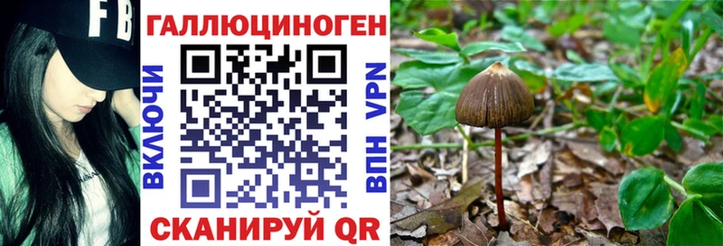Галлюциногенные грибы мицелий  Бор 